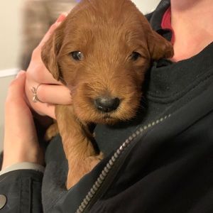 Meet your Posher, Brooke